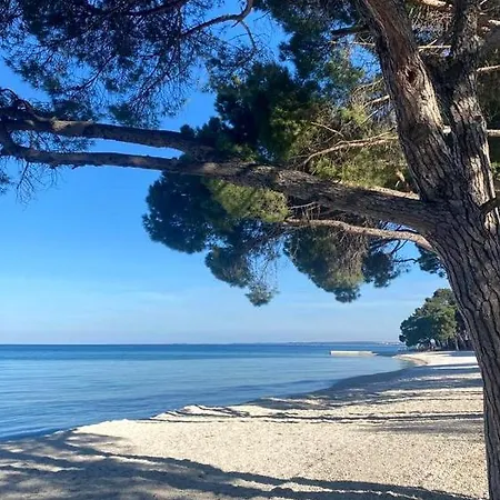 公寓 布比别墅公寓