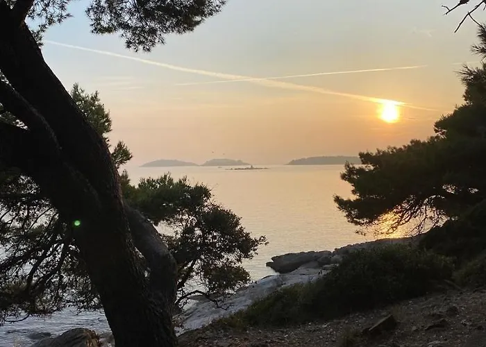 Apartament Bubi *